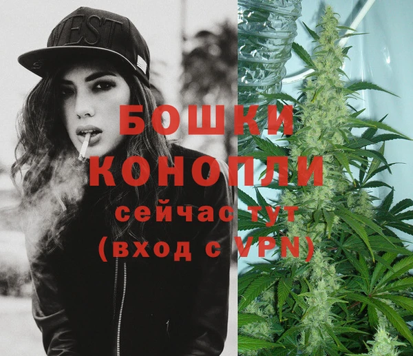 твердый Богданович