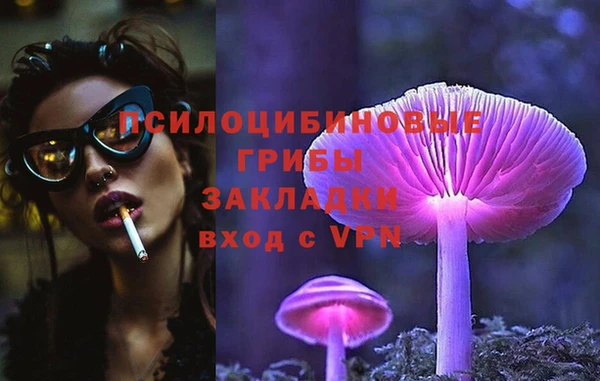 герыч Богородск