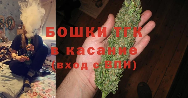 твердый Богданович