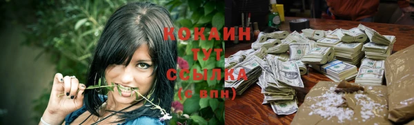 твердый Богданович